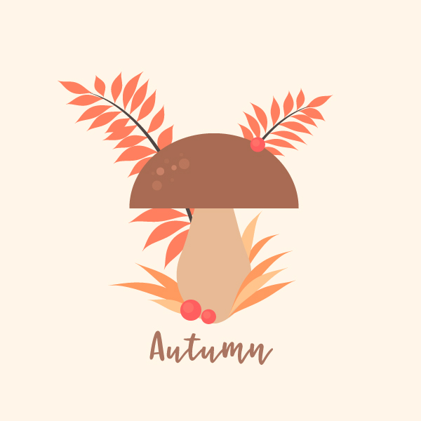 13-autumn-mushroom.jpg