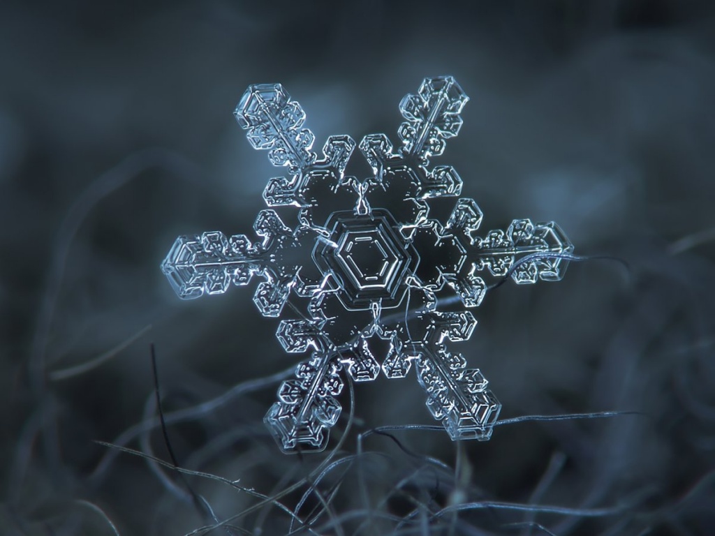 Потрясающие макроснимки снежинок_017.jpg