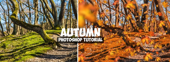 Как Добавить Листья На Фото В Фотошоп